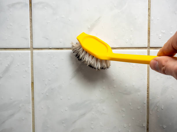 Trusted Vian, OK Mold Removal Experts