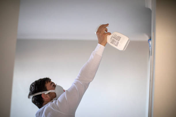 Best Attic Mold Removal  in Vian, OK