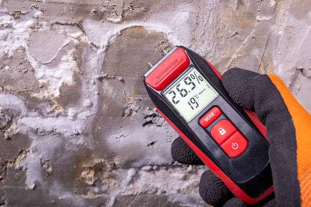 Best Local Mold Removal Service  in Vian, OK