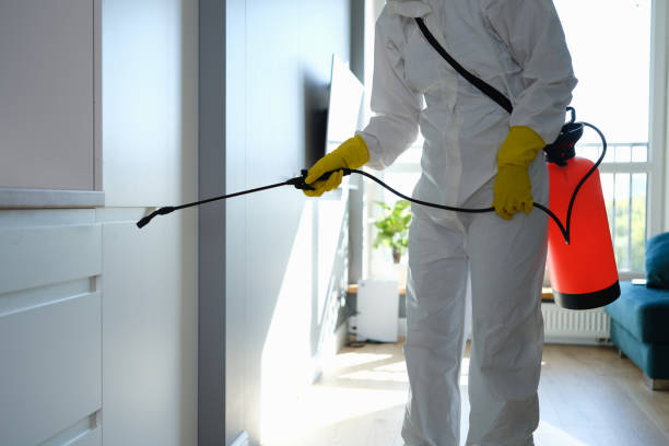 Best Mold Removal Process  in Vian, OK
