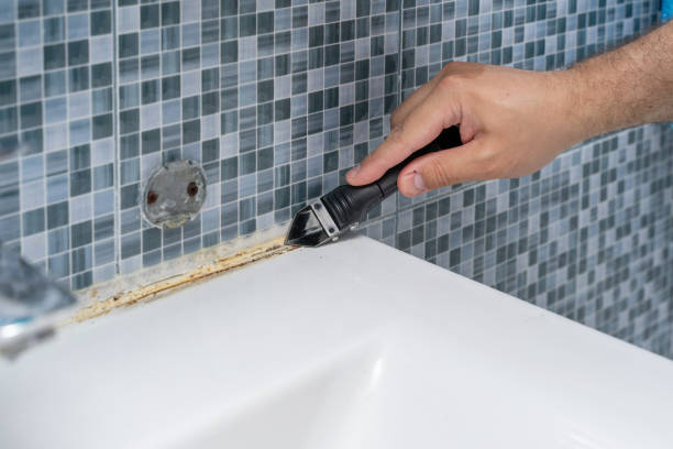 Best Mold Inspection  in Vian, OK